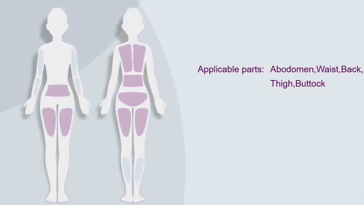 Ultrasonic Cavitation Treatment Area